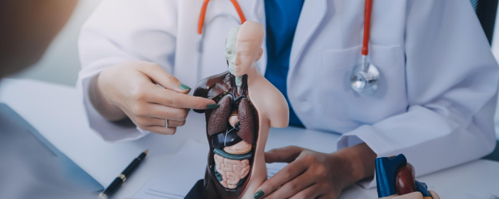 Internal Medicine at JP Hospital